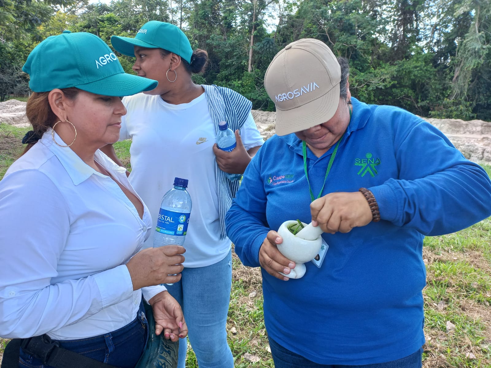 Maceración Muestras Vegetales