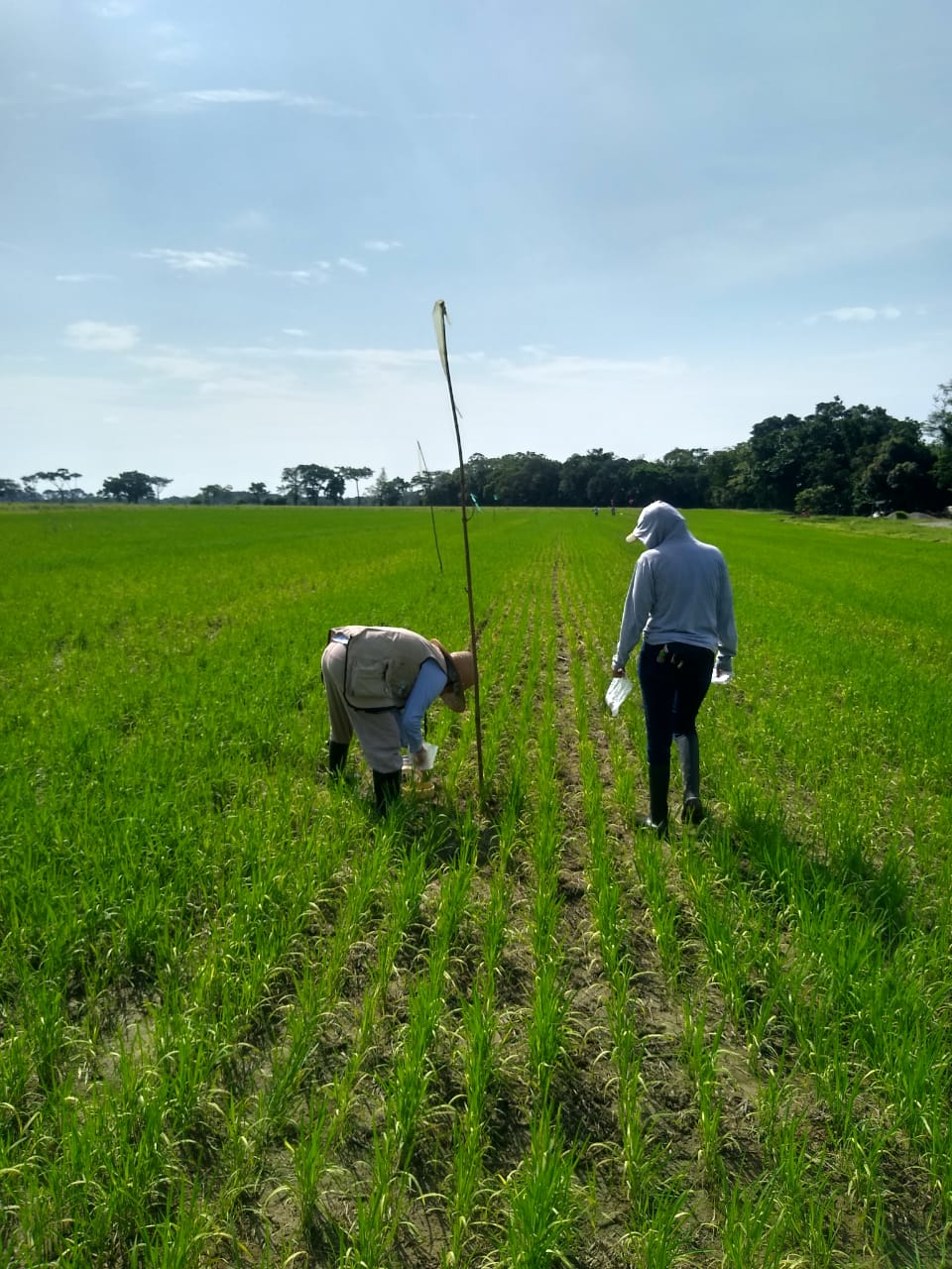 Whatsapp Image 2025 05 05 At 3.27.42 PM (1)