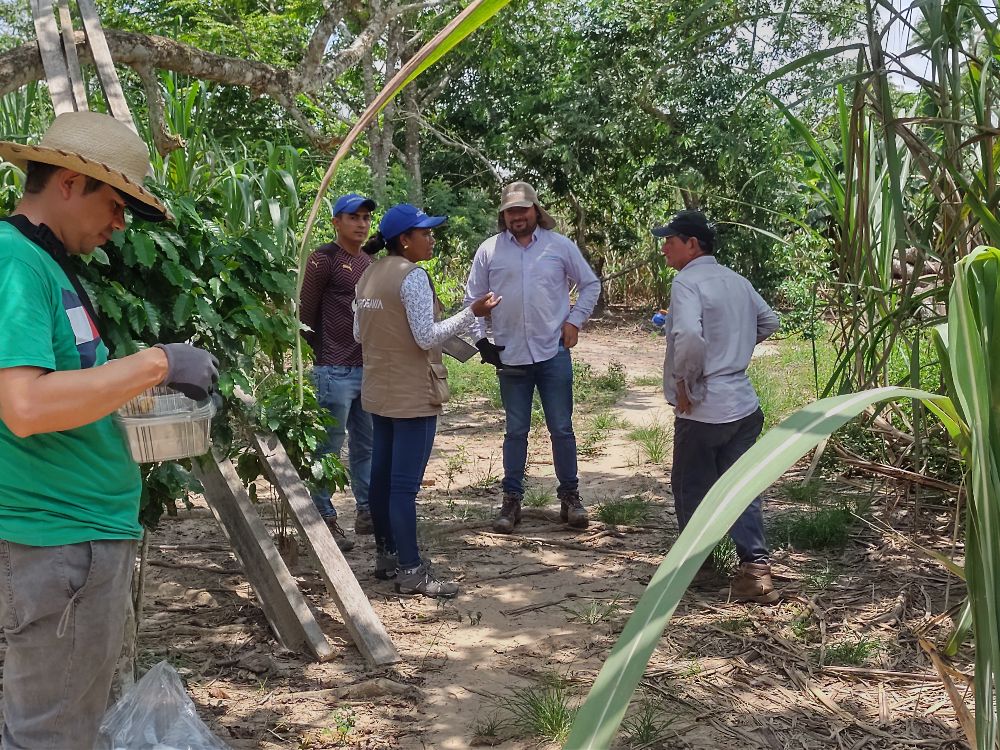 Agricultural science at the service of peace and prosperity in Guaviare