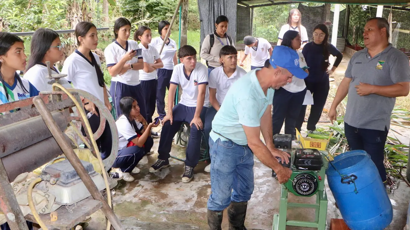 Jóvenes Rurales Y Producción Porcícola3 Fotor Webp