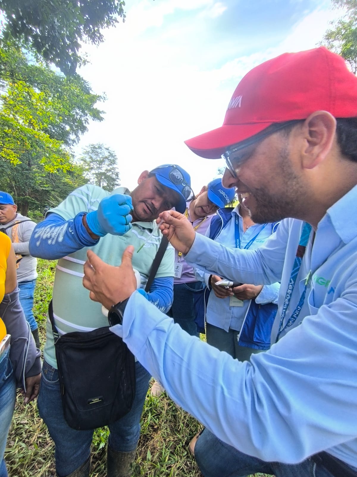 Extracción De Muestras