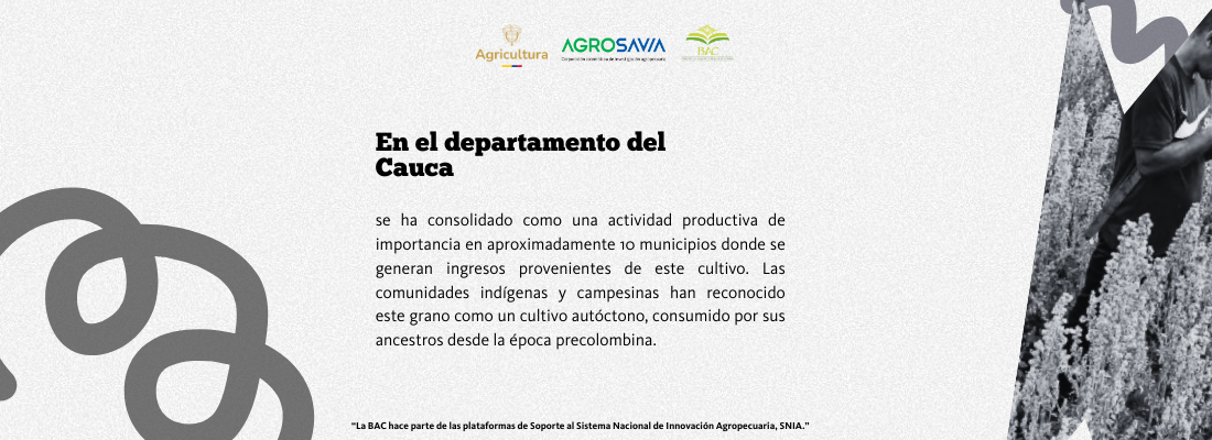 Caracterización Económica, Social 3