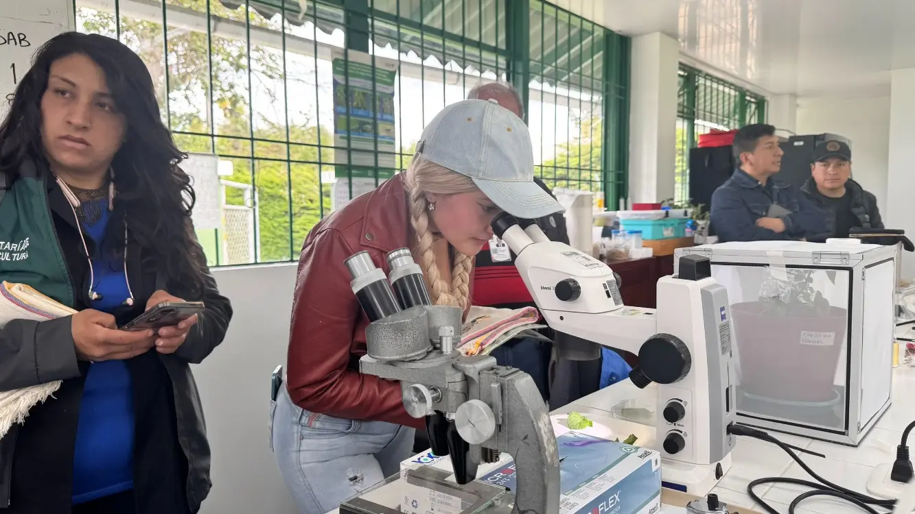 AGROSAVIA Vecol5 Fotor Webp