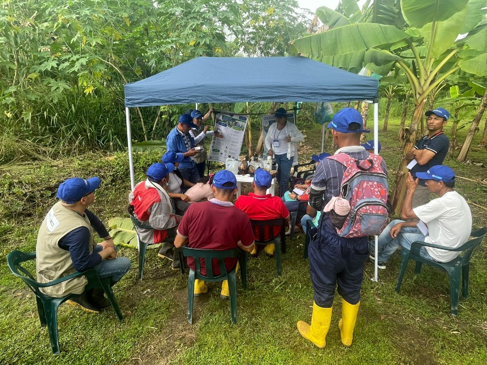 Dia de campo “Manejo agronómico del cultivo de plátano” en Tame, Arauca