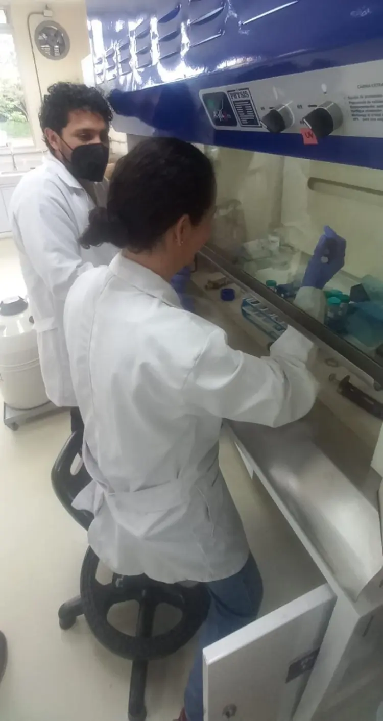 Taller Fitoplasma Punta Morada3 Fotor Webp