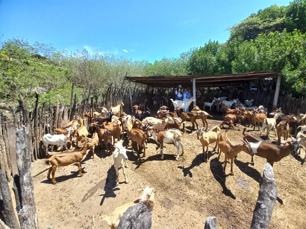 Chicamocha Emprende Rural3 AGROSAVIA