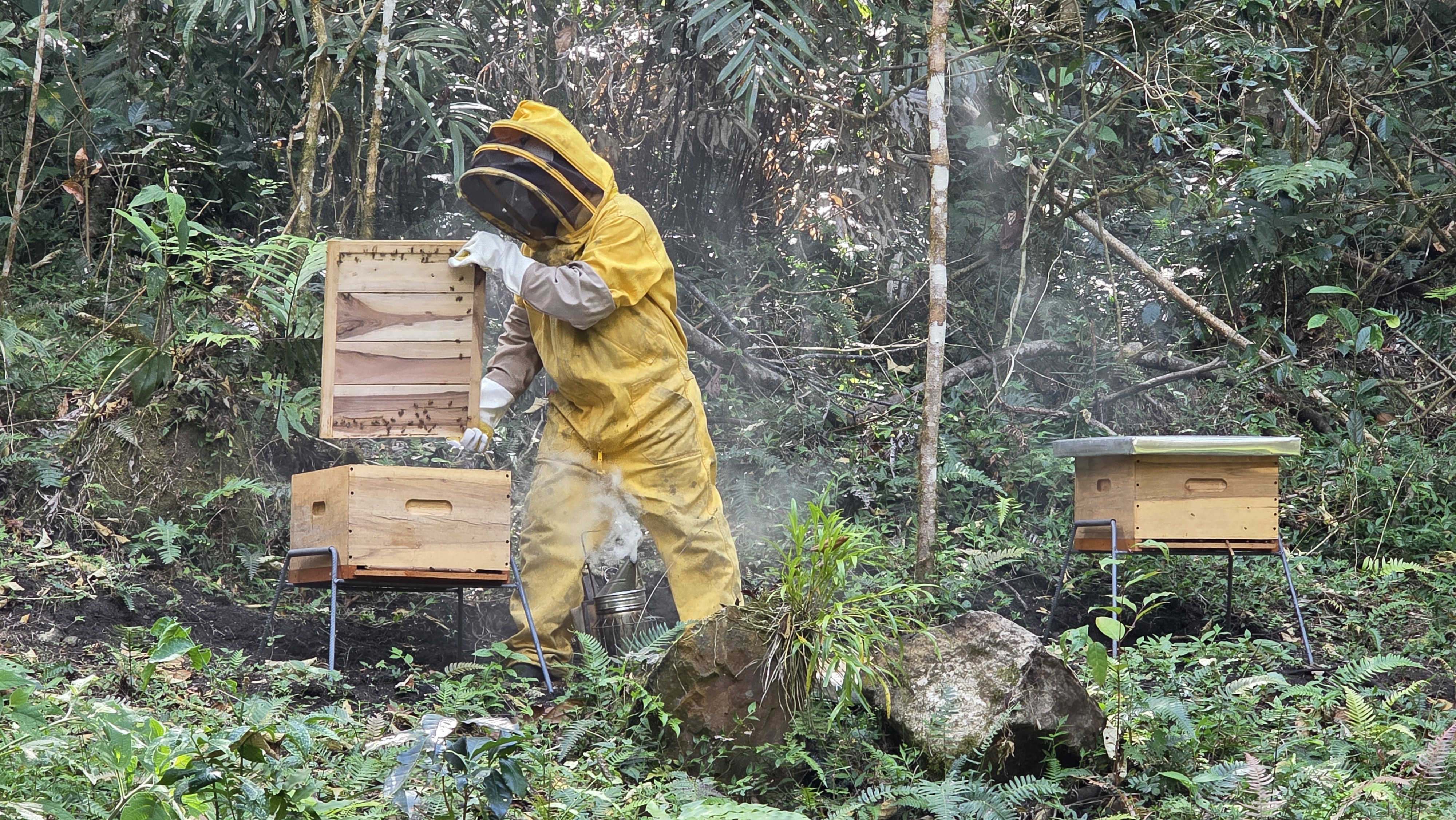 Fotografía 6 Apicultura Tibacuy Cundinamarca