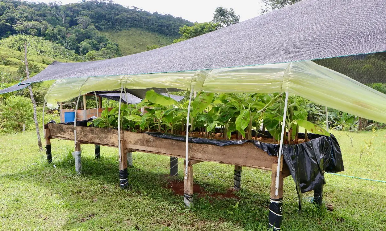 La Savia De La Tierra4 Fotor Webp