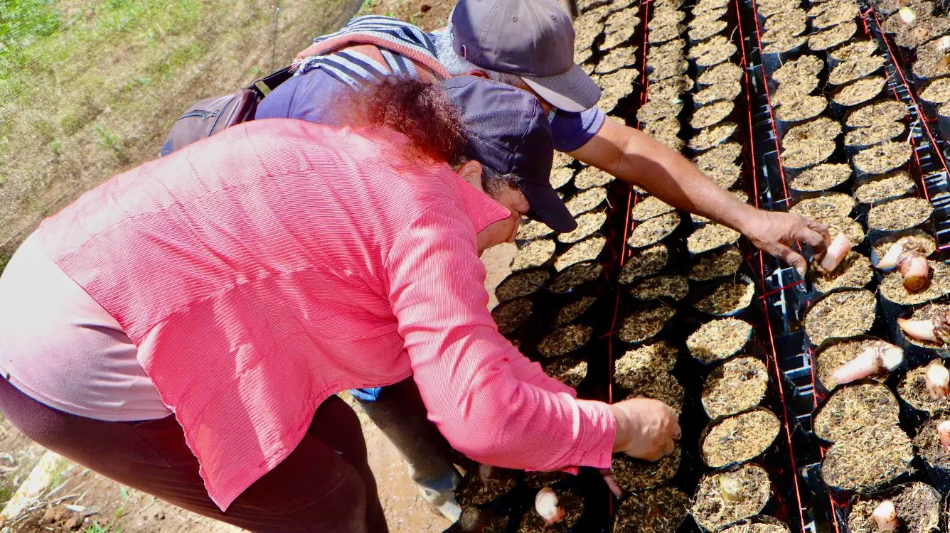 Ciencia, Innovación Y Diálogo De Saberes Al Servicio Del Campo5 Fotor Webp