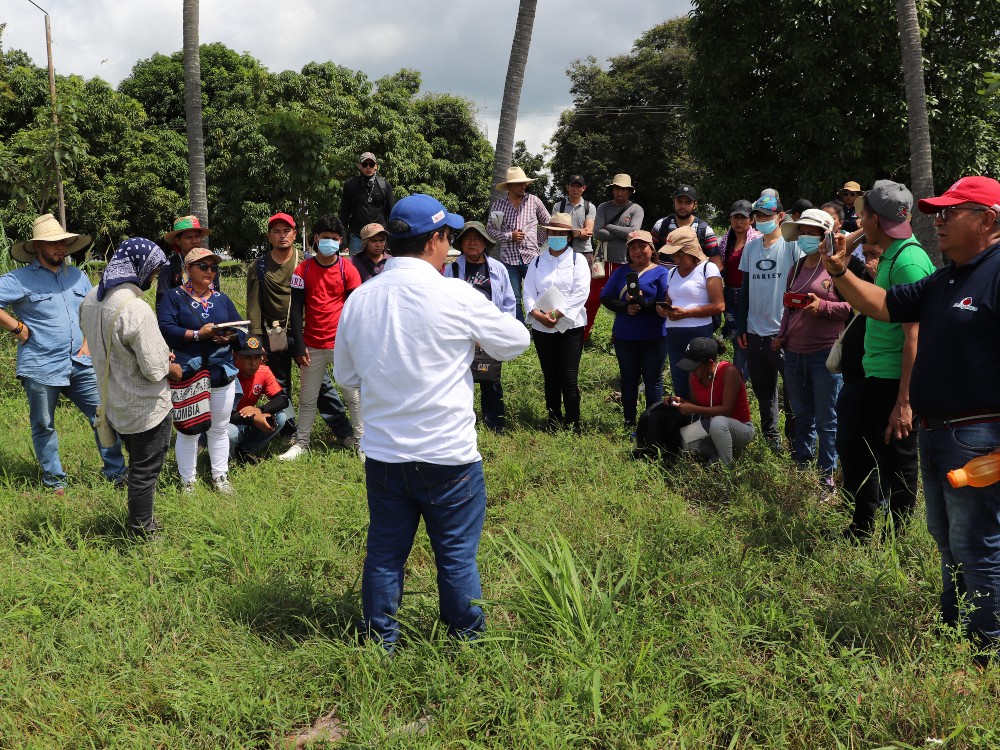 Agricultores de siete países latinoamericanos visitan el Centro de Investigación Nataima de AGROSAVIA
