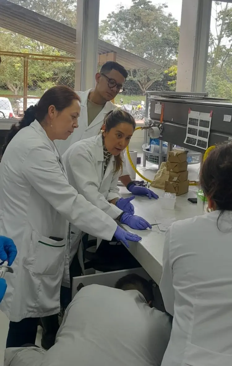 Taller Fitoplasma Punta Morada4 Fotor Webp