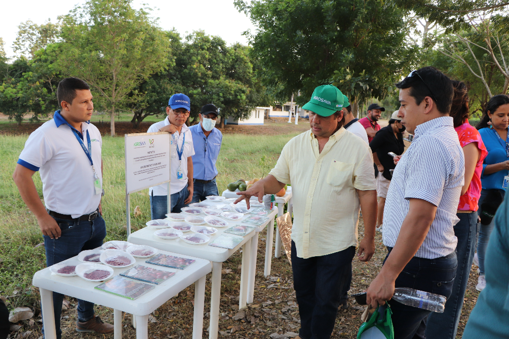 Visita a la Sede El Carmen de Minciencias