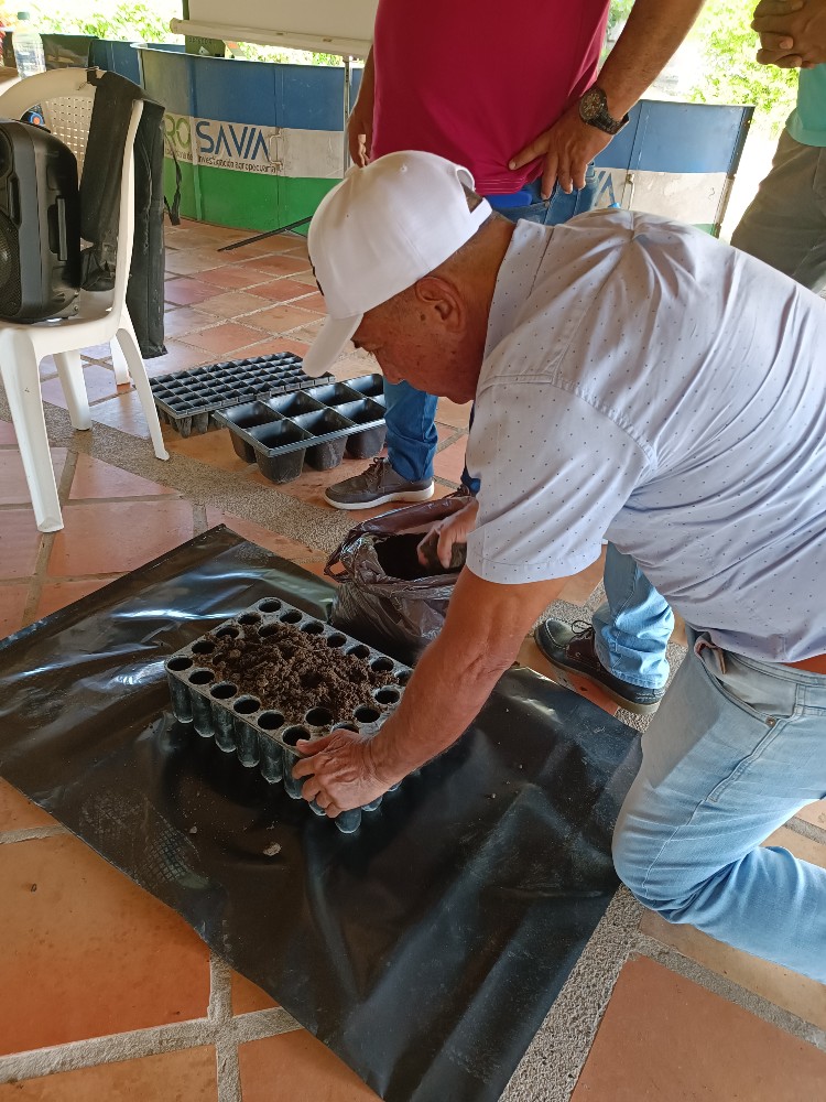 AGROSAVIA Impulsa Variedades De Berenjena En Magdalena Y Atlántico2 AGROSAVIA