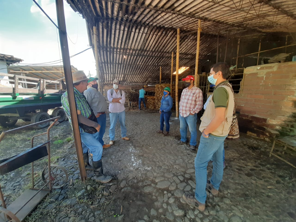 Capacitación Caña AGROSAVIA Def