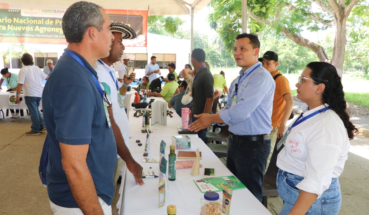 Región Caribe avanza hacia nuevos agronegocios frutícolas sostenibles