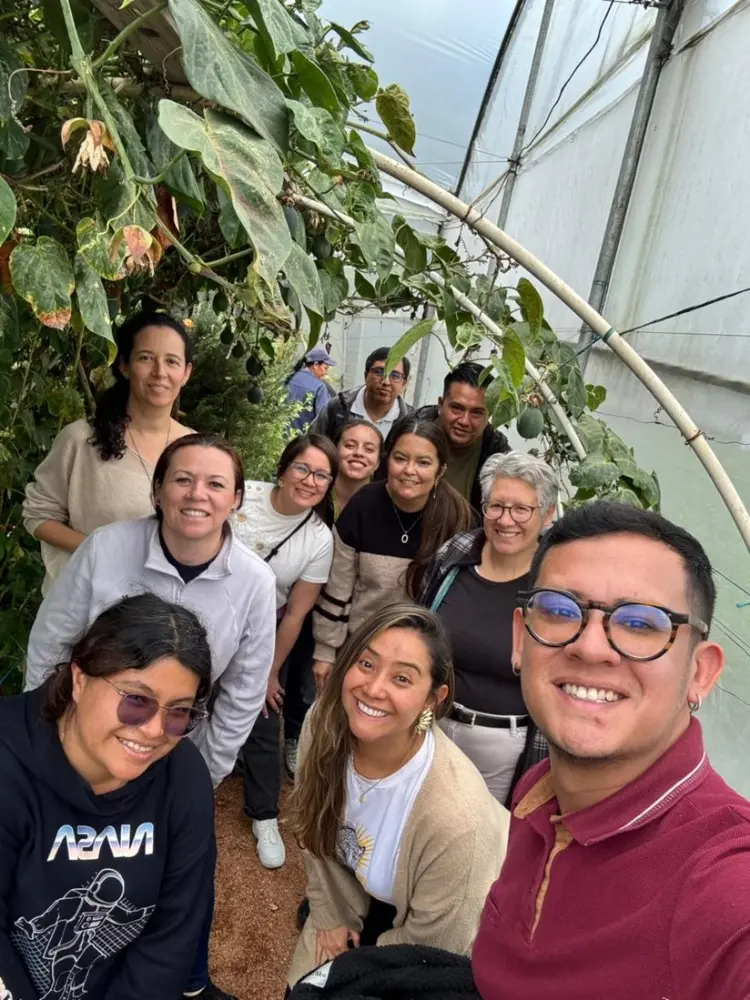 Taller Fitoplasma Punta Morada5 Fotor Webp