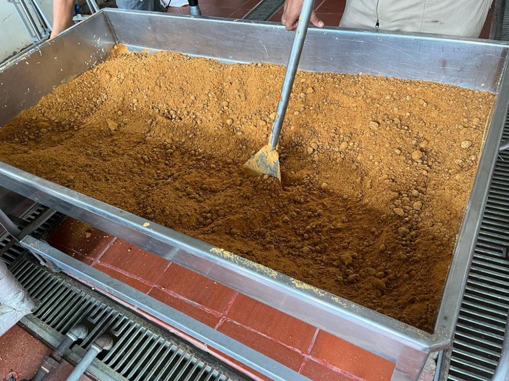 Evalaución Caña3 AGROSAVIA