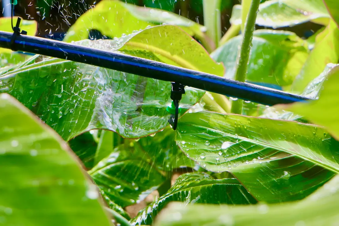 Ciencia, innovación y diálogo de saberes al servicio del campo