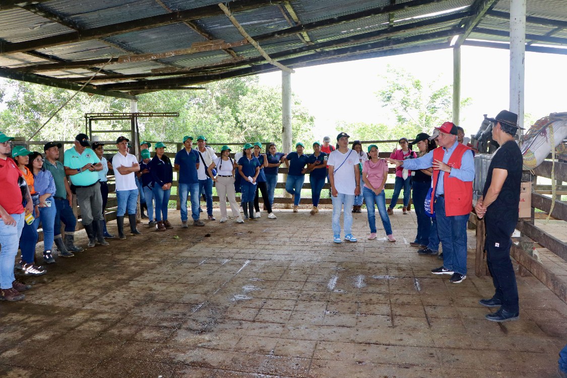 Dia De Campo ADR7 AGROSAVIA