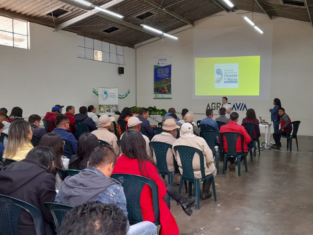 Sabores Y Saberes Obonuco (1) AGROSAVIA