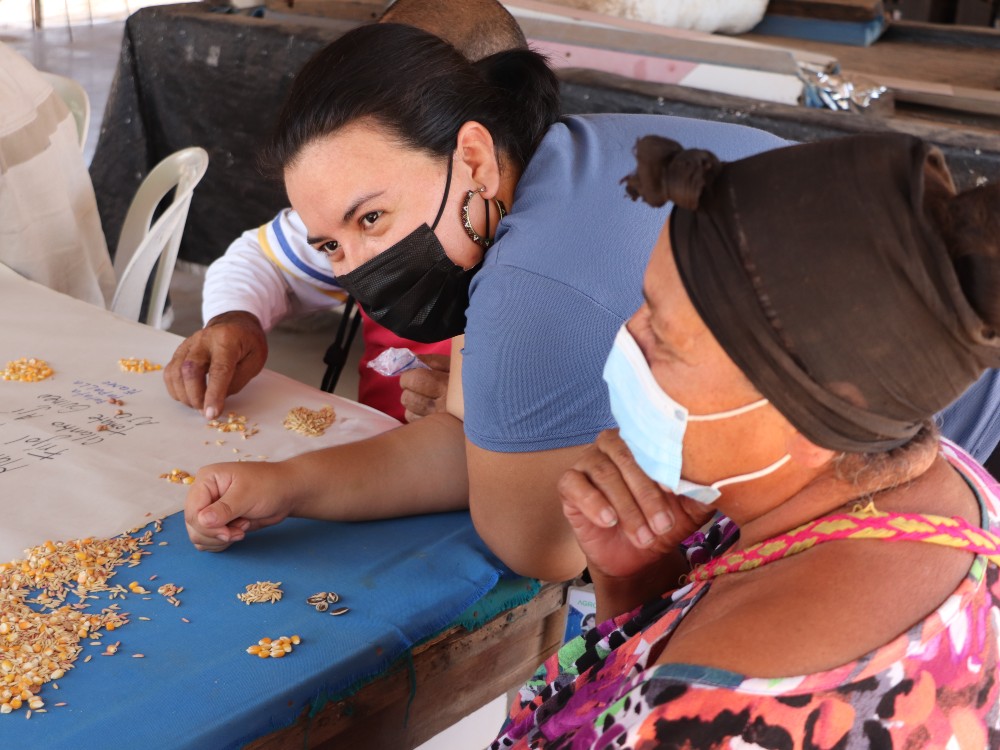 AGROSAVIA identifica técnicas locales para la conservación de semilla en La Guajira