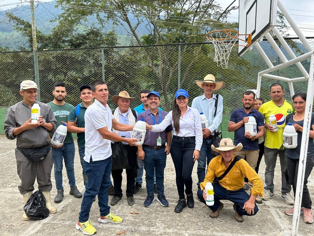 Productores de plátano y banano se fortalecen en prevención fitosanitaria, contención y manejo de Foc R4T y Moko