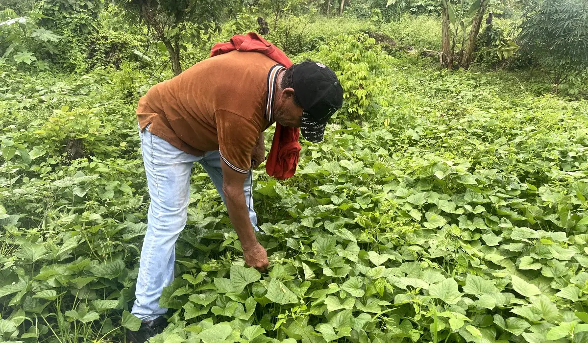 Img 7128 Fotor 20251229174516