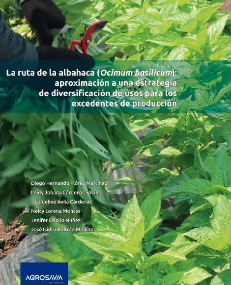 La Ruta De La Albahaca