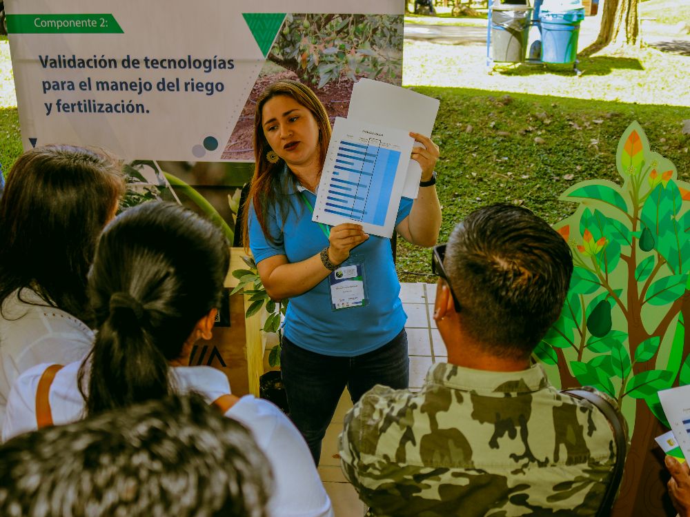 El Oro Verde Se Abre Camino En El Departamento Del Cauca4 AGROSAVIA