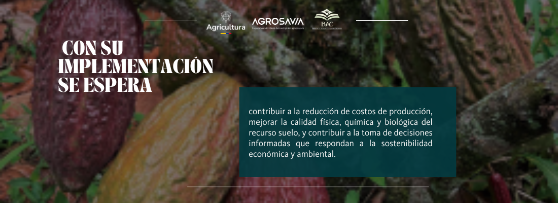 Manejo De La Fertilización Integrada En El Cultivo De Cacao Manual Orientado A La Región Del Catatumbo4