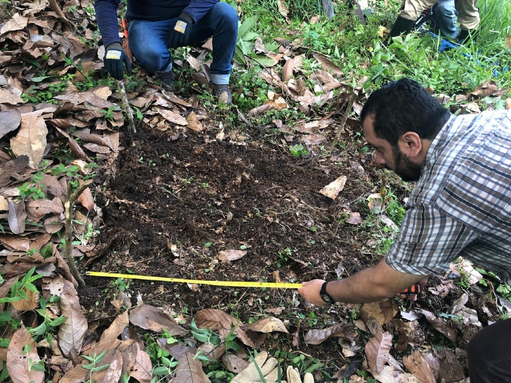 Aportes a la mitigación de los niveles de cadmio en la producción cacaotera de Colombia, Perú y Trinidad y Tobago