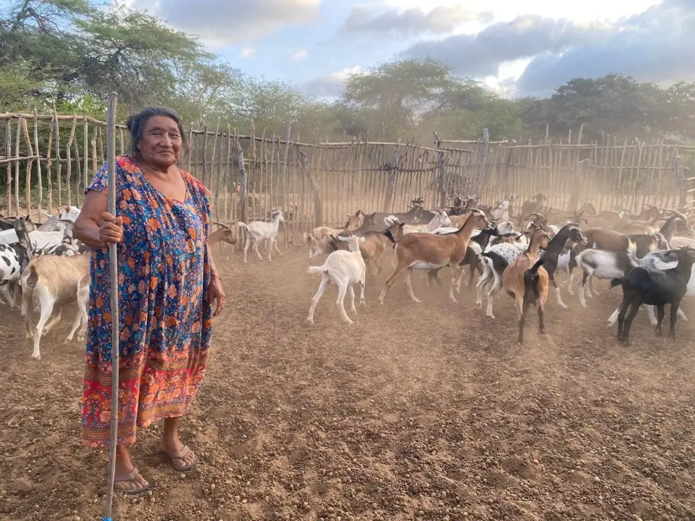 The world turns its attention to women farmers