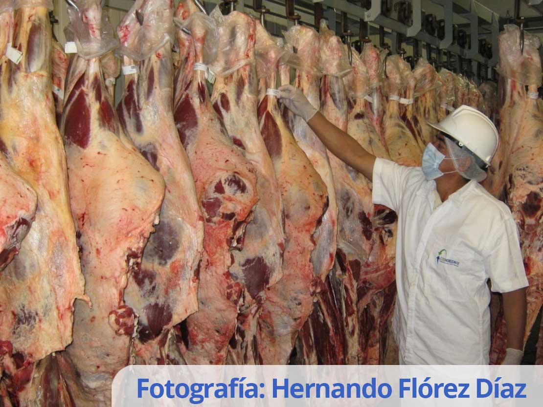 Hernando Flórez Díaz (1)