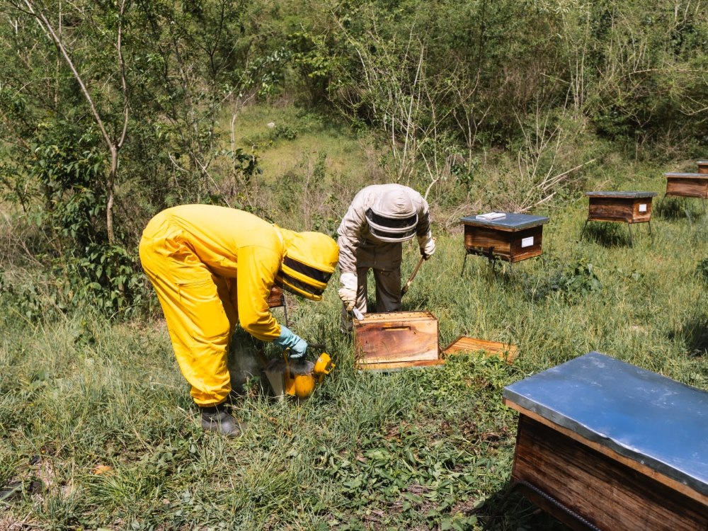 Reserva De Buriticá AGROSAVIA