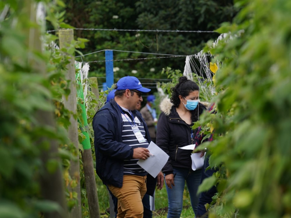 Taller Uchuva Granada AGROSAVIA