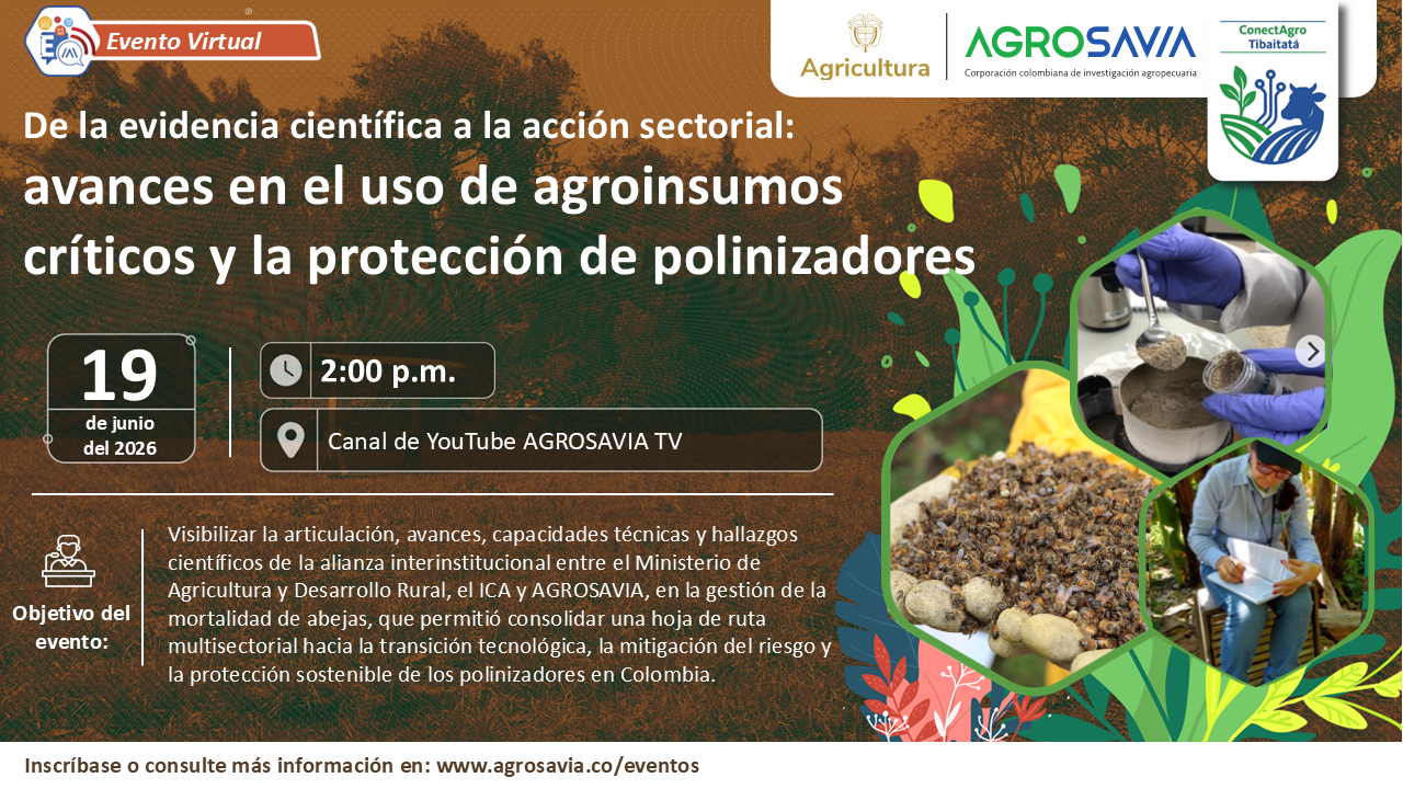 Evento 19 junio