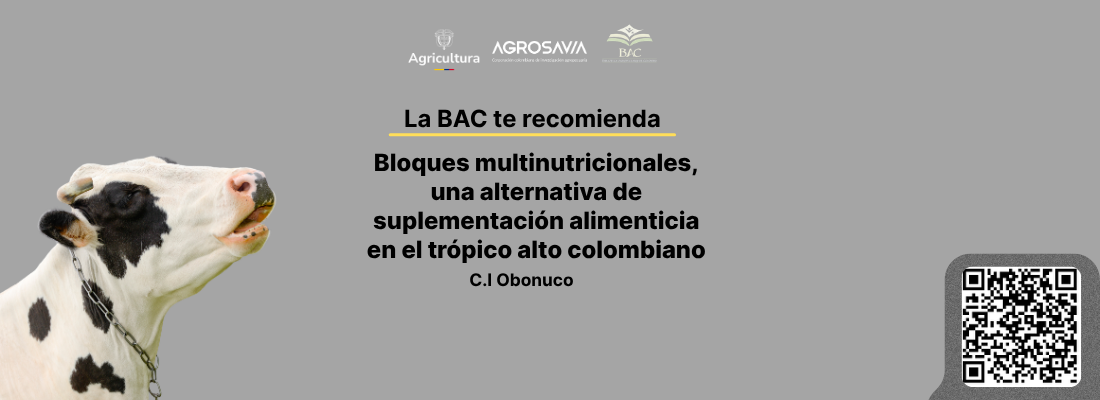 Bloques 1