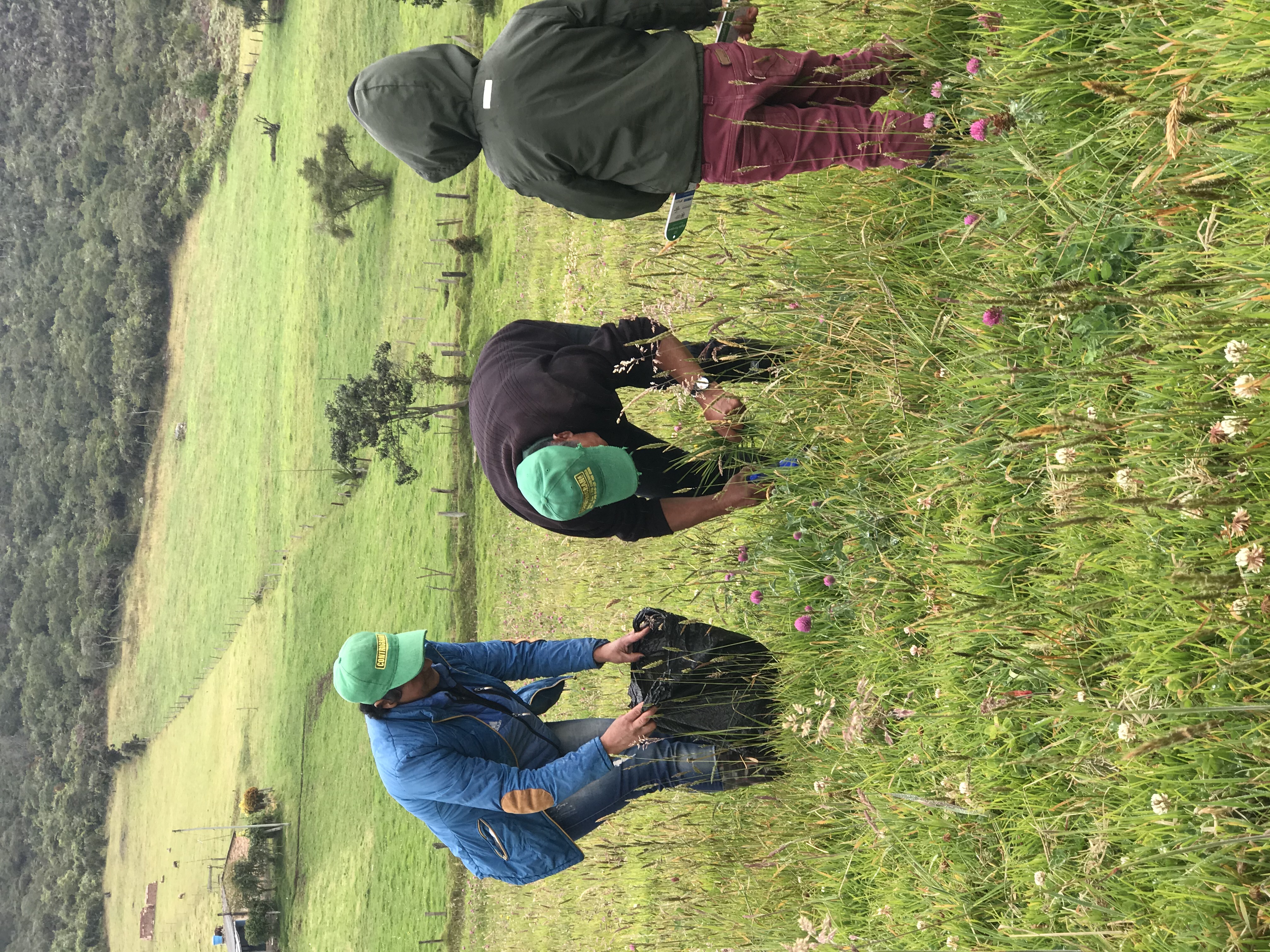 IMG 9147