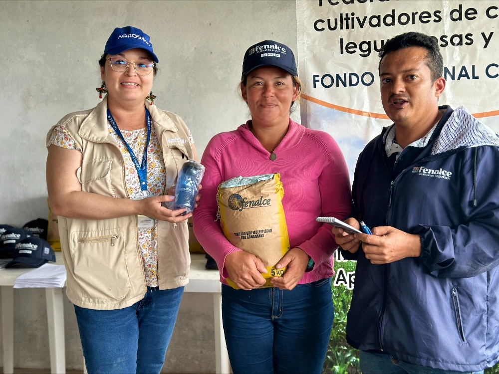 Semillas De Esperanza Pequeños Productores De Mesetas Reciben Un Impulso Para El Cultivo Del Maíz3 AGROSAVIA