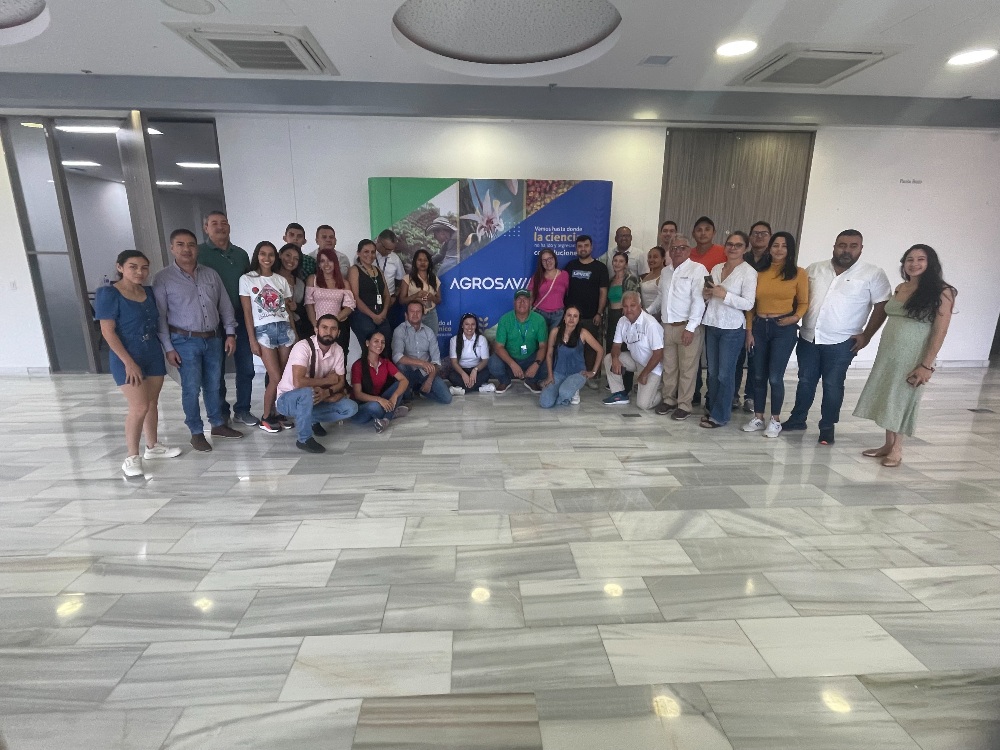 Establecimiento y manejo de pastos para extensionistas y productores de Casanare
