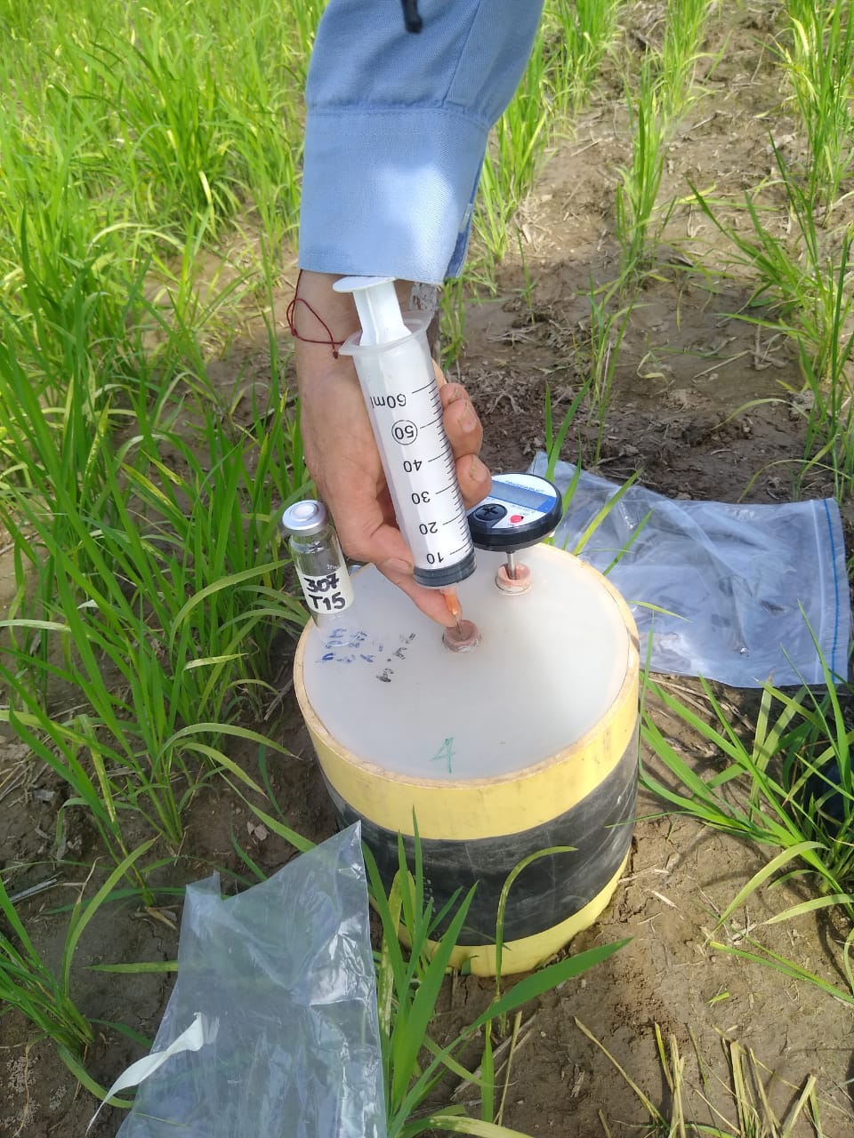 Whatsapp Image 2025 04 29 At 4.00.38 PM