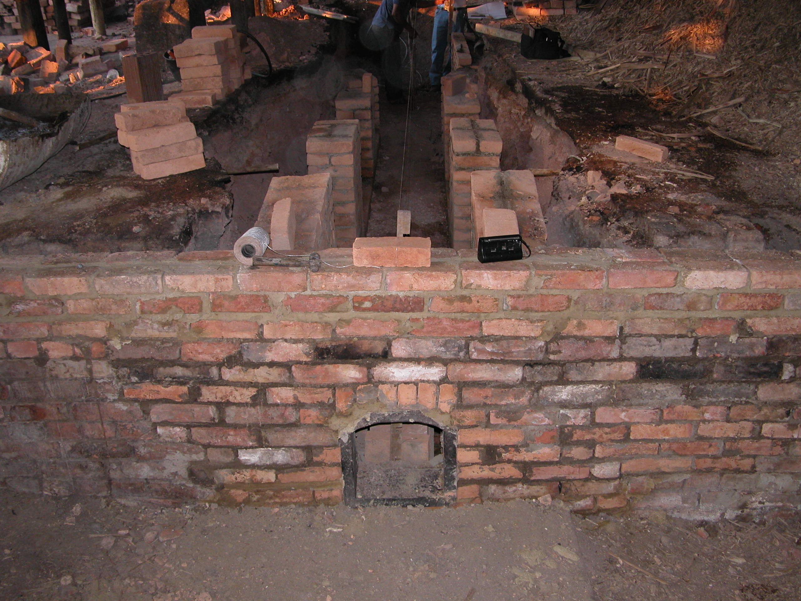 Banco De Imágenes AGROSAVIA (4)