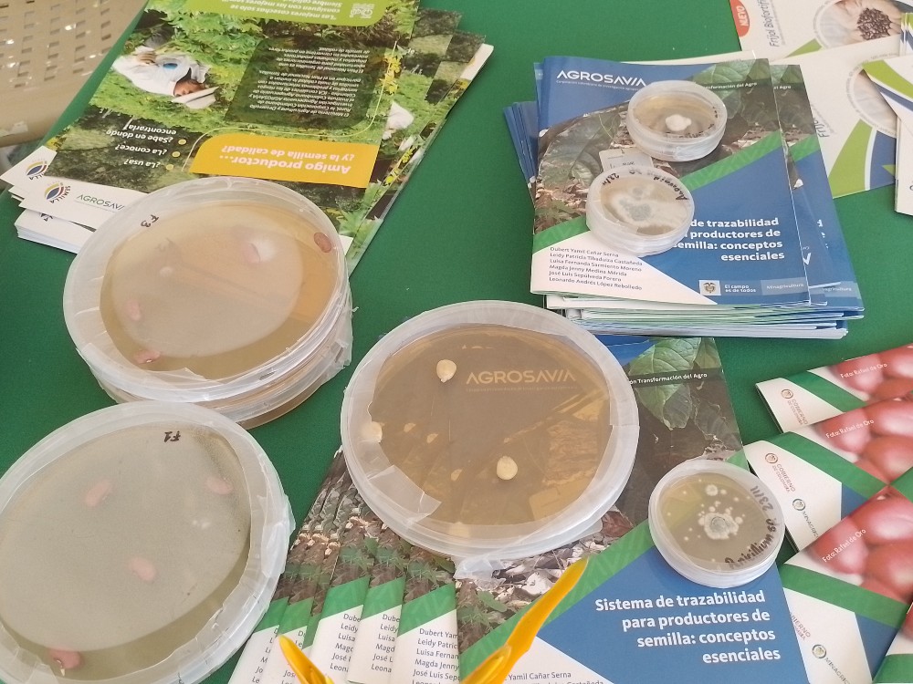 AGROSAVIA Apoya Emprendimientos De Las Comunidades Étnicas2 AGROSAVIA