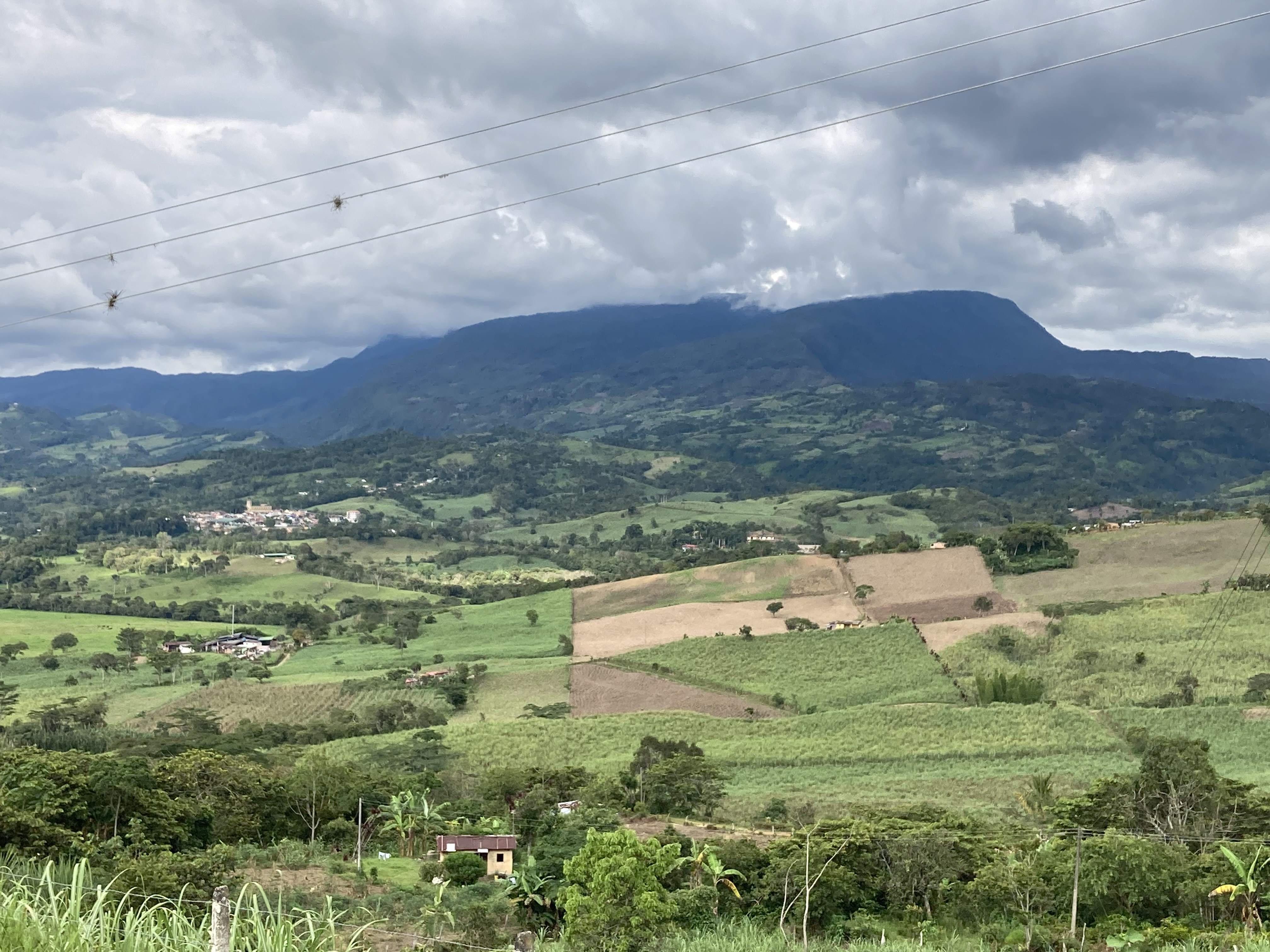 Paisaje 3 N. Barreto 2024
