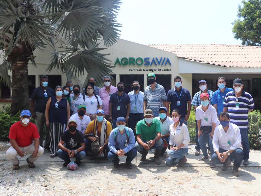 AGROSAVIA brinda acompañamiento técnico para impulsar cultivo de marañón en la región Caribe