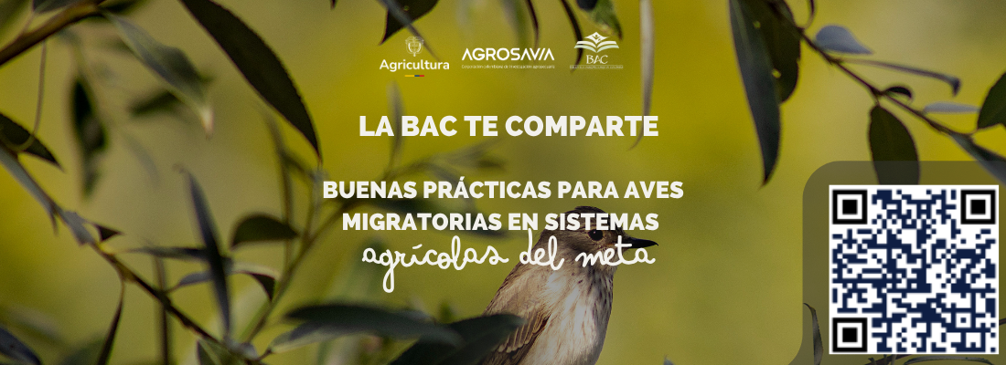 Avees Migratorias1