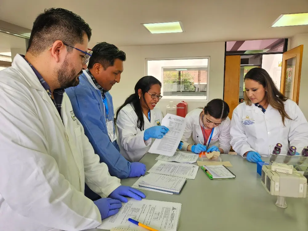 Curso Internacional Musáceas Y Arroz4 Fotor Webp