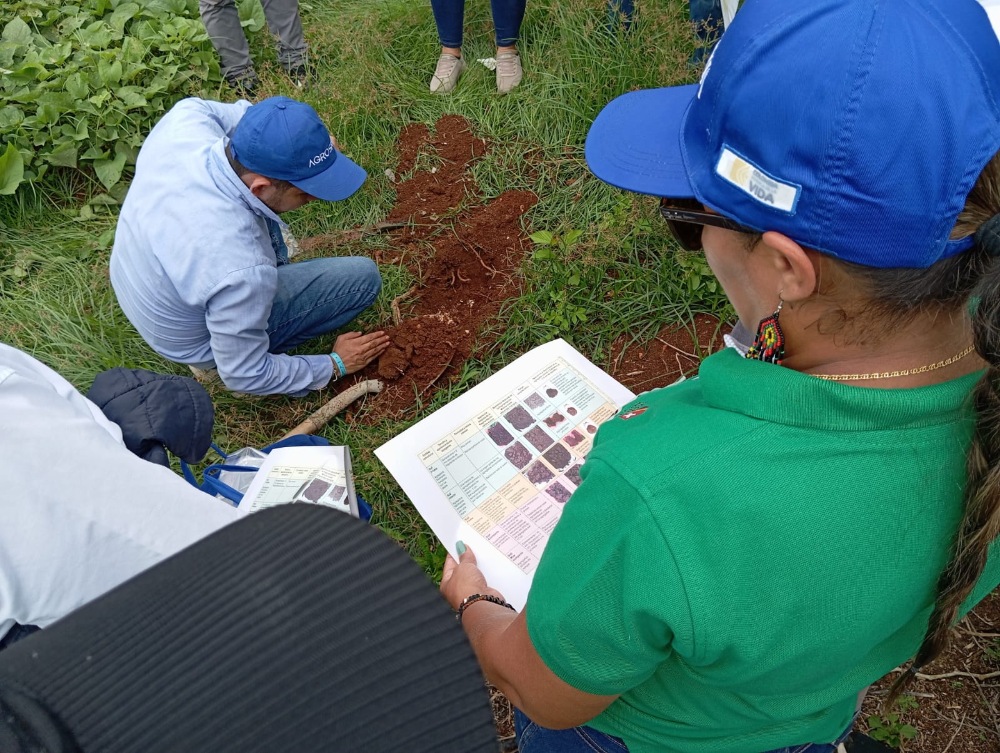 AGROSAVIA Impulsa La Formación De Extensionistas En San Andrés Con Jornada De Actualización Sobre Prácticas Sostenibles4 AGROSAVIA