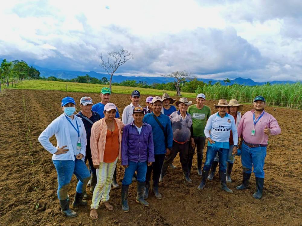 Parcela de aprendizaje instalada con productores de ASOPANELA en Caquetá
