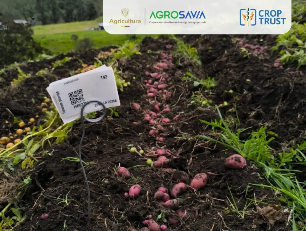 Modernización al registro y seguimiento de sus recursos genéticos vegetales